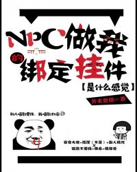 NPC做我的綁定掛件是什麽感覺[無限]