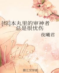 [綜]本丸裏的審神者總是很憂傷