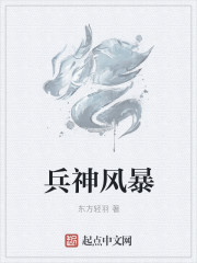 兵神風暴