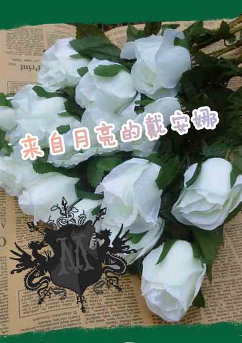 hp來自月亮的戴安娜
