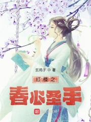 紅樓之春心聖手
