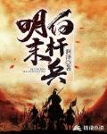 明末白杆兵