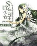 呆萌少女在網王