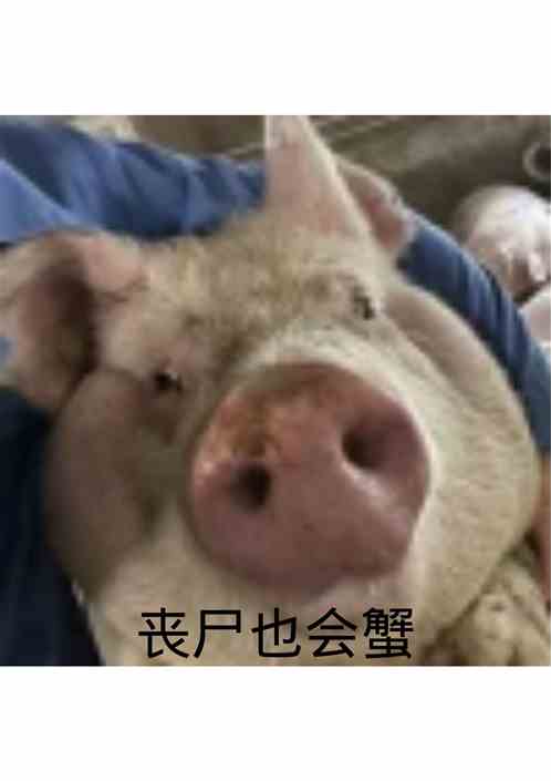 喪屍也會蟹