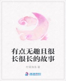 有點無趣且很長很長的故事