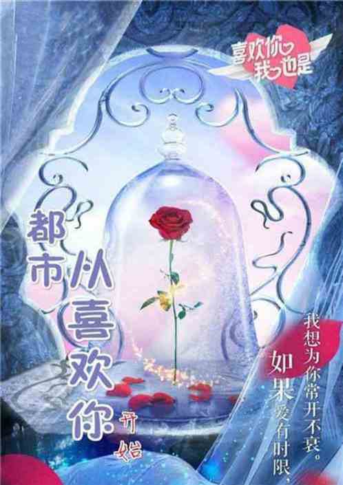 和楊老板分手，她閨蜜們坐不住了