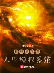 斑爺的次元人生模擬係統