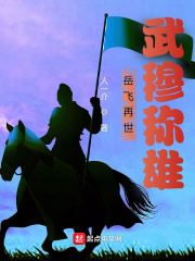 嶽飛再世，武穆稱雄