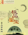 極品鑒寶