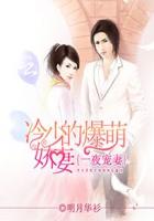 一夜寵妻：冷少的爆萌嬌妻