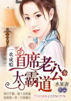 一歡成癮：首席老公太霸道