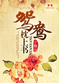 鴛鴦枕上書