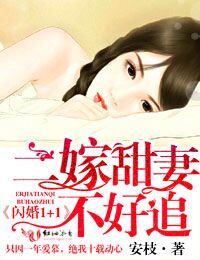 閃婚1+1，二嫁甜妻不好追