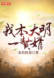 我本大明一贅婿