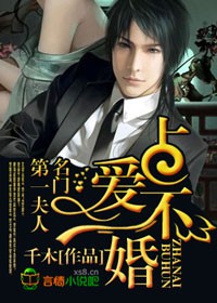 占愛不婚:名門第一夫人 占愛不婚:名門第一夫人