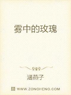霧中的玫瑰