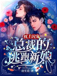 顧燕笙陸瑾寒