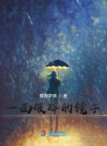 一麵破碎的鏡子