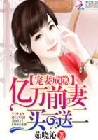 寵妻成癮：億萬前妻買一送二