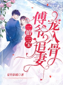 一胎三寶：傅爺,追妻寵入骨