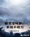 精靈寶可夢：係統不給力