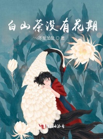 白山茶沒有花期 白山茶沒有花期
