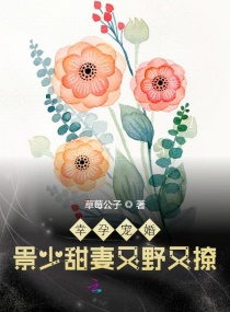 幸孕寵婚：景少甜妻又野又撩
