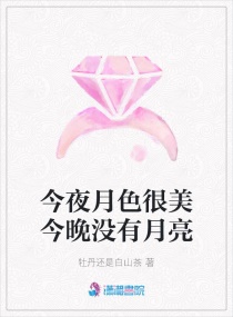 今夜月色很美今晚沒有月亮 今夜月色很美今晚沒有月亮