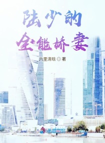 陸少的全能嬌妻