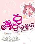 胖豆豆追愛記
