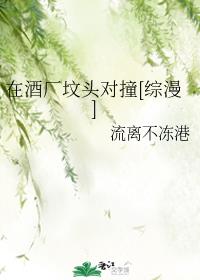 在酒廠墳頭對撞[綜漫]