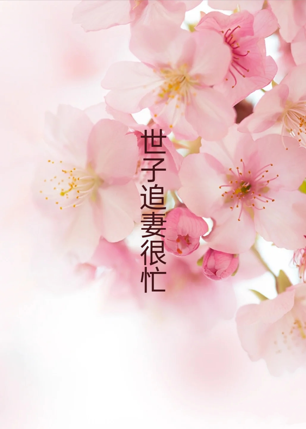 世子追妻很忙，勿擾