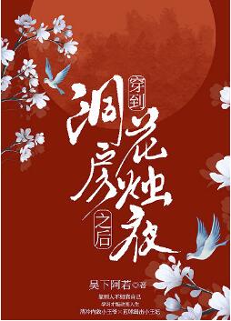 穿到洞房花燭夜之後