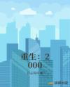 重生:2000 重生:2000