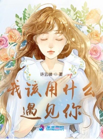 我該用什麽遇見你 我該用什麽遇見你