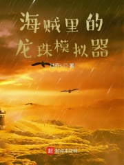 海賊裏的龍珠模擬器
