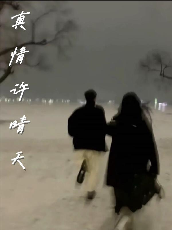 真情許晴天