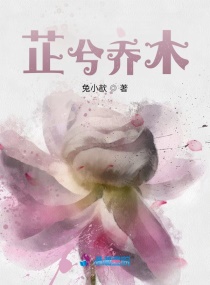 芷兮喬木 芷兮喬木