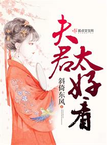 夫君太好看 夫君太好看