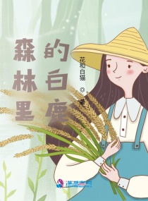 森林裏的白鹿 森林裏的白鹿