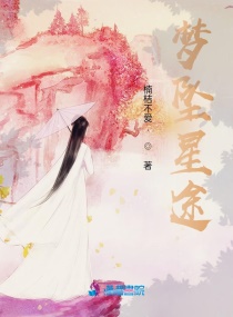 夢墜星途 夢墜星途