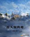 嶽天奴傳奇