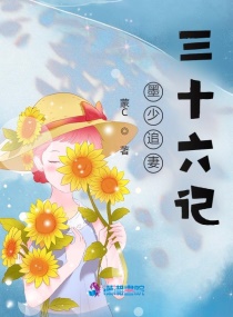 墨少追妻三十六記 墨少追妻三十六記