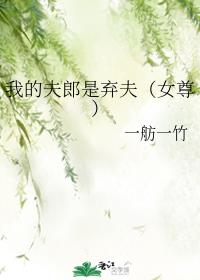我的夫郎是棄夫（女尊）