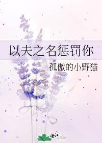 以夫之名懲罰你