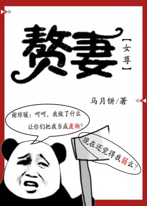贅妻（女尊）