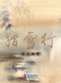 踏雪行良辰美景 踏雪行良辰美景