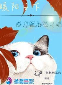 暖陽之下，必有貓兒輕哼唱