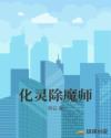 化靈除魔師 化靈除魔師