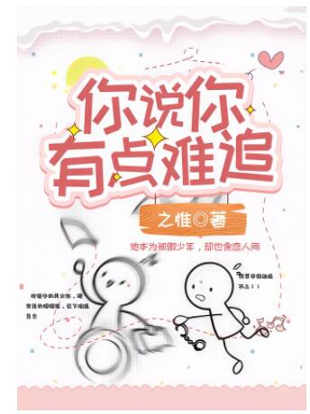 你說你有點難追